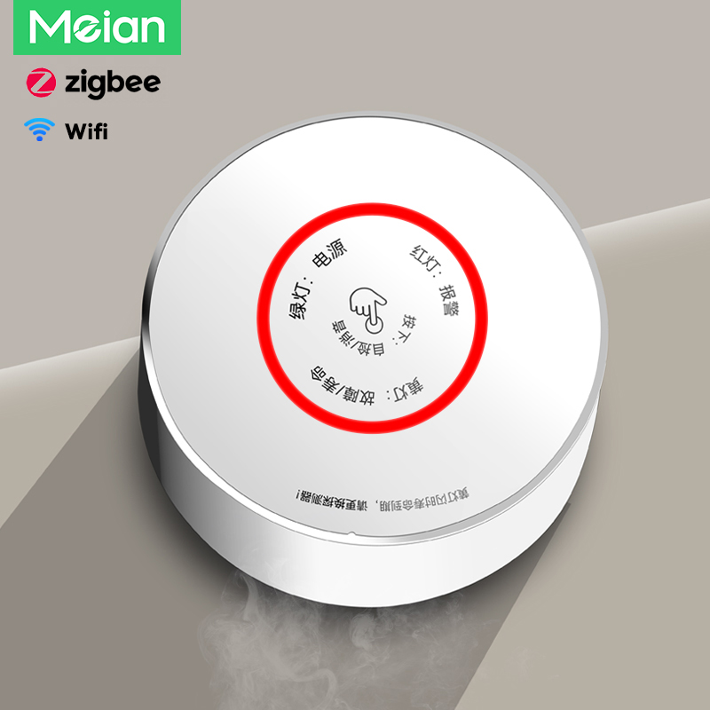 Smart Home Network - Mian Zigbee Gasdetector Tuya Wifi Brandbaar