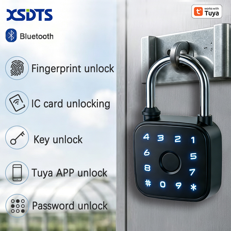 Smart Home Key - Tuya Smart Hangslot, Vingerafdrukkaart Wachtwoord Sleutel