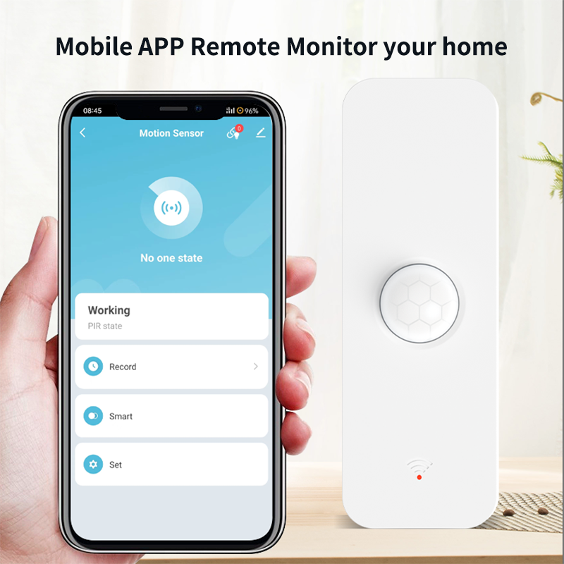Tuya WiFi Zigbee PIR Bewegings - Smart Home Network recensie en prijs