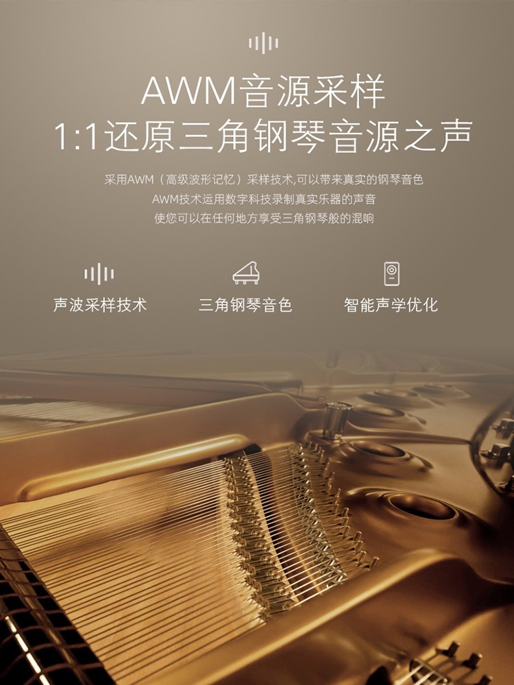Grand Piano 88-toetsen gewogen - Smart Home Key recensie en prijs