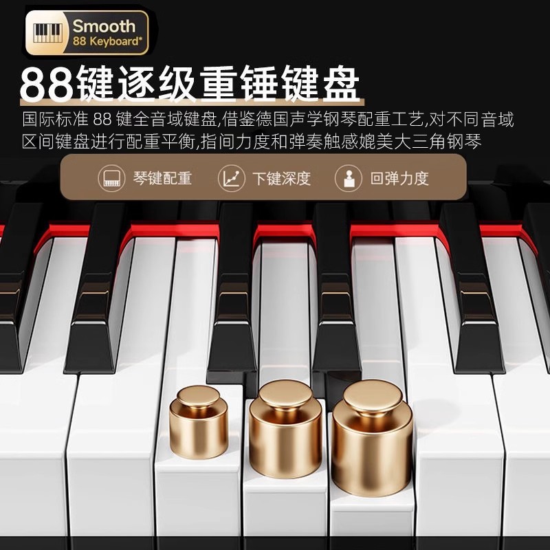 Grand Piano 88-toetsen gewogen - Smart Home Key recensie en prijs