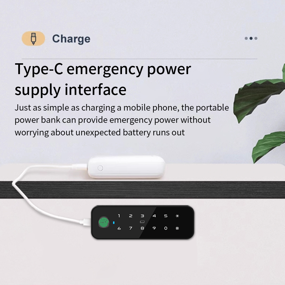 Tuya Bluetooth Smart Houten Ka - Smart Home Key recensie en prijs