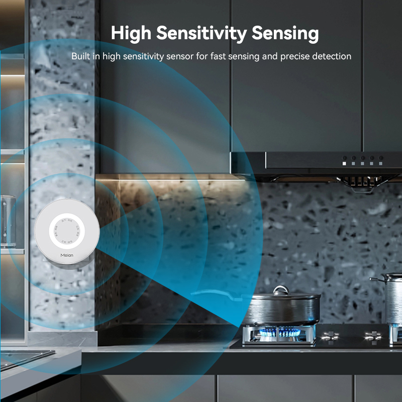 Mian Zigbee Gasdetector Tuya W - Smart Home Network recensie en prijs