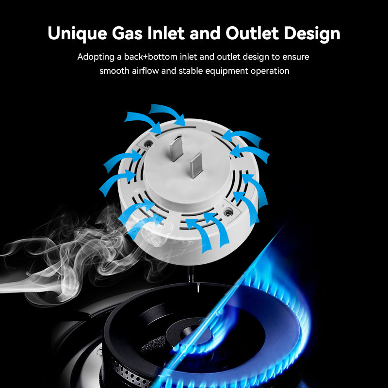 Mian Zigbee Gasdetector Tuya W - Smart Home Network recensie en prijs