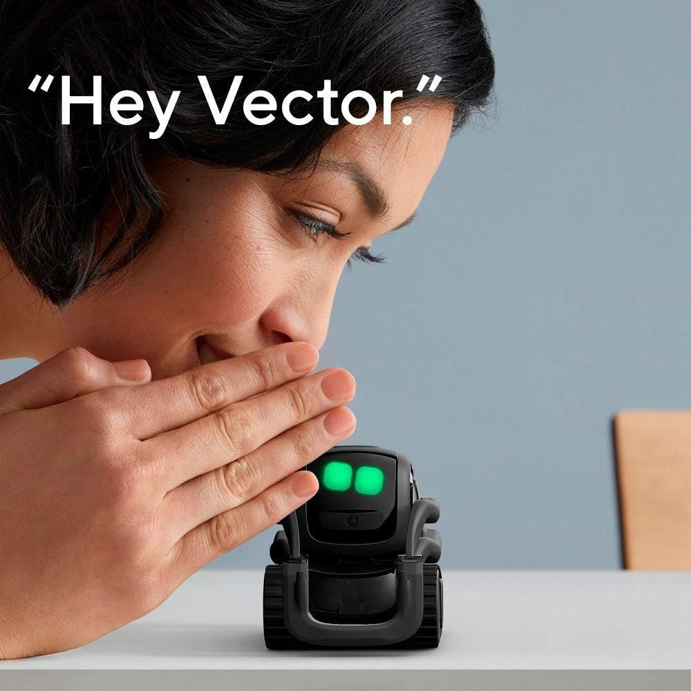 AI ChatGPT 2.0 Verbonden Robot - Smart Home Control recensie en prijs