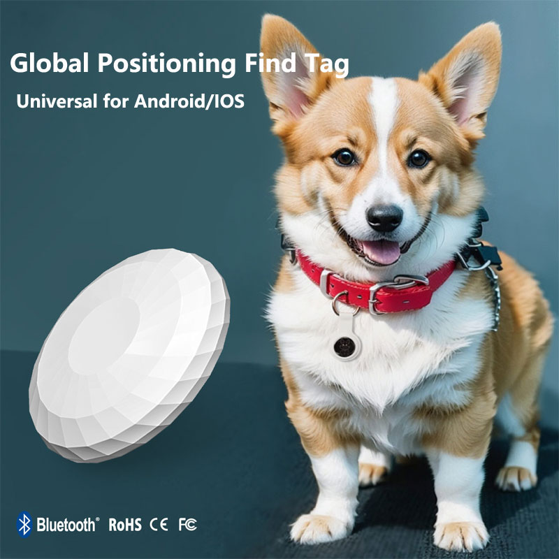 Smart Tag Echt wereldwijde pos - Smart Home Samsung recensie en prijs