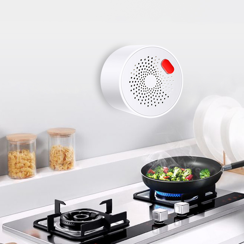 Tuya Smart Home Wifi Aardgas S - Smart Home Network recensie en prijs