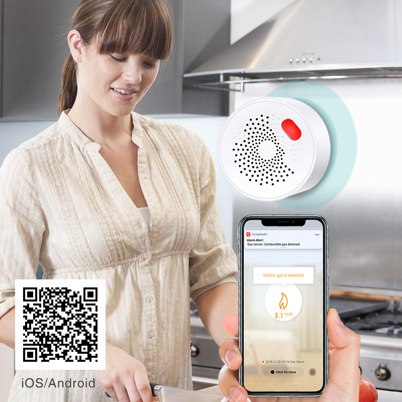 Tuya Smart Home Wifi Aardgas S - Smart Home Network recensie en prijs